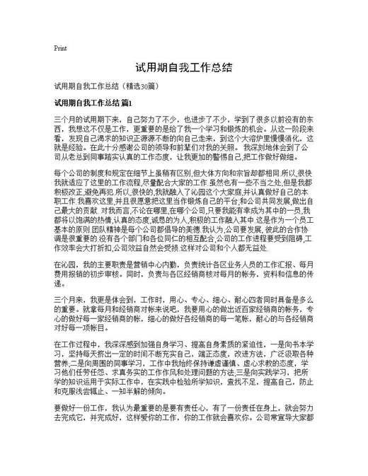 试用期自我工作总结