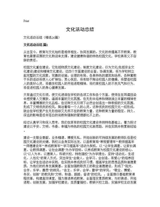 文化活动总结