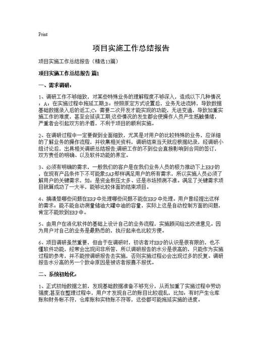 项目实施工作总结报告