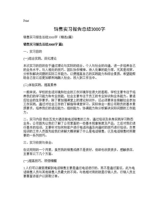 销售实习报告总结3000字