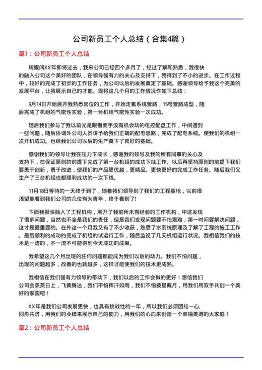 公司新员工个人总结