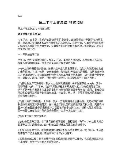 镇上半年工作总结(精选)
