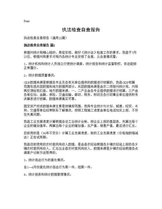 执法检查自查报告