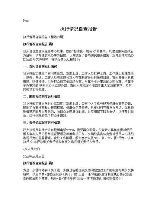 执行情况自查报告