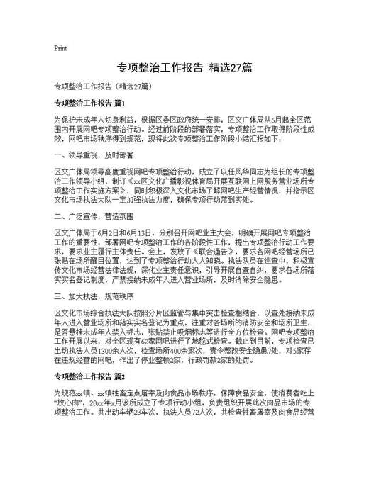 专项整治工作报告(精选)