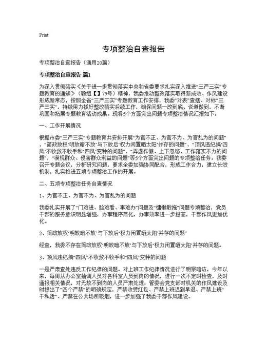 专项整治自查报告