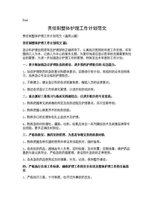 责任制整体护理工作计划范文