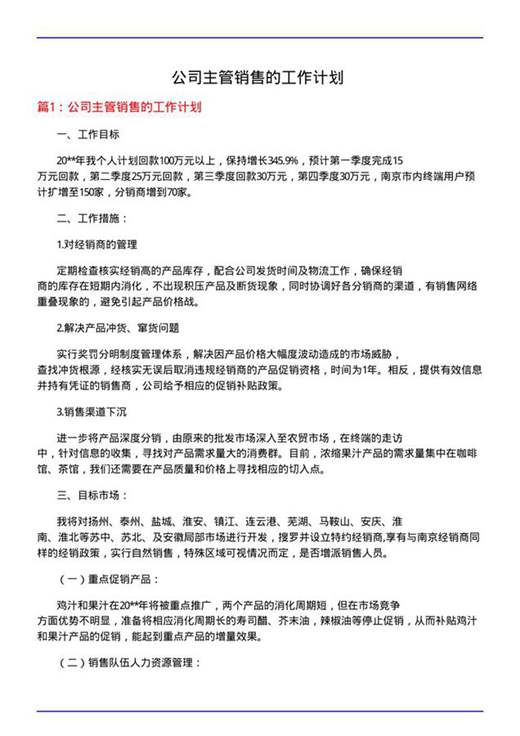 公司主管销售的工作计划