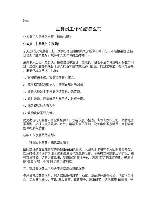 业务员工作总结怎么写