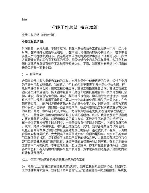 业绩工作总结(精选)