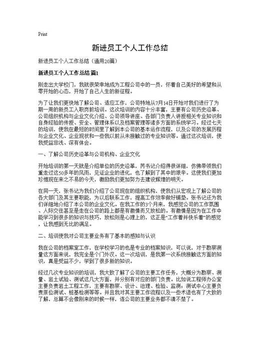 新进员工个人工作总结