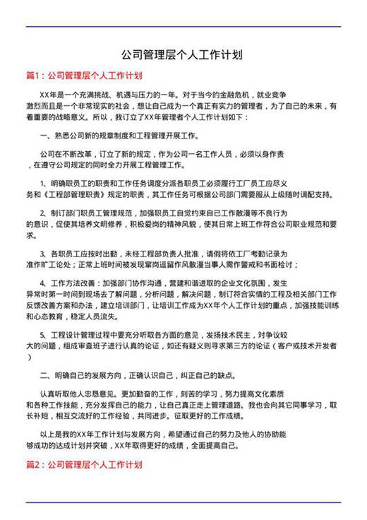 公司管理层个人工作计划