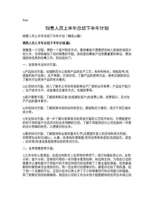销售人员上半年总结下半年计划