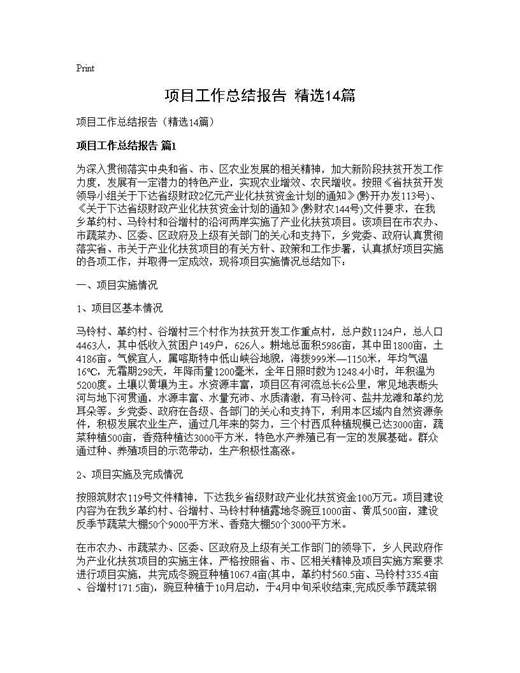 项目工作总结报告(精选)