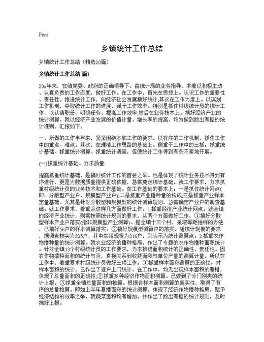 乡镇统计工作总结