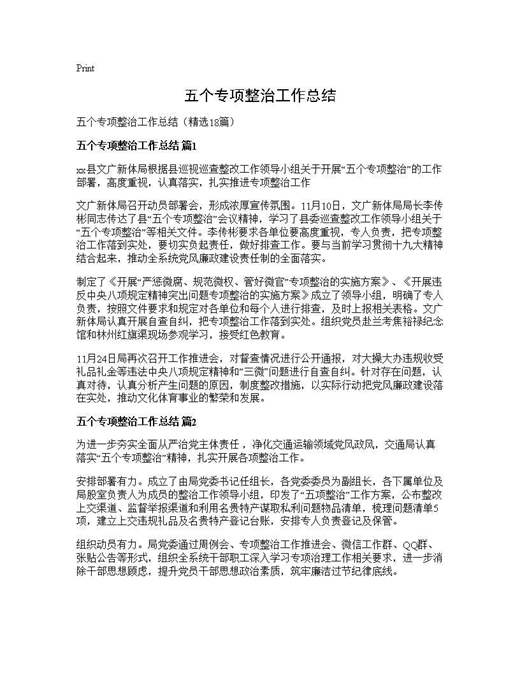 五个专项整治工作总结