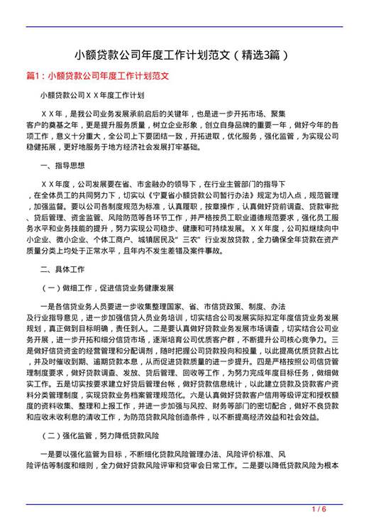 小额贷款公司年度工作计划范文