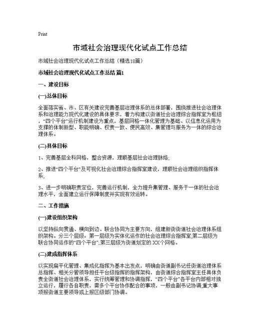 市域社会治理现代化试点工作总结