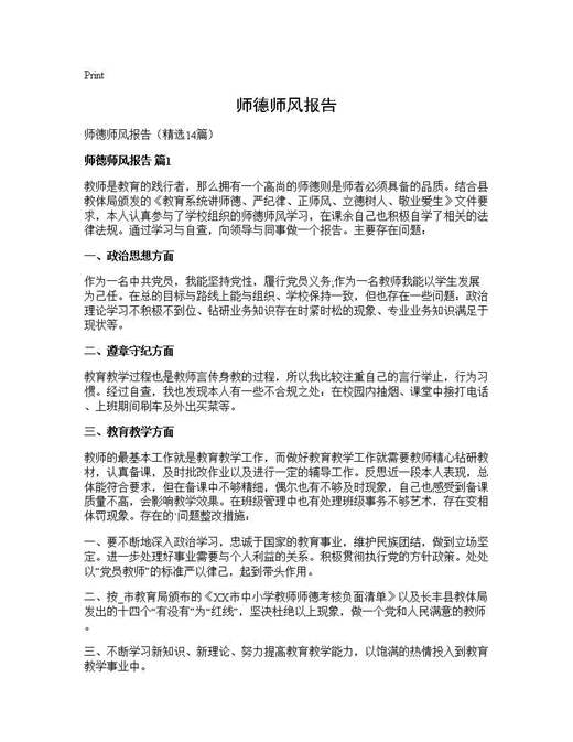 师德师风报告