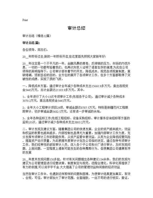 审计总结