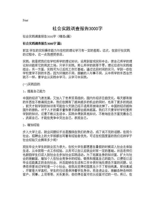 社会实践调查报告3000字