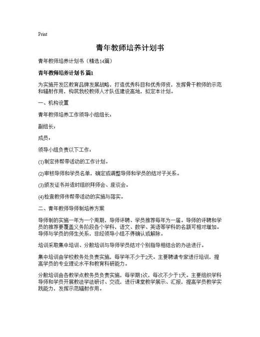 青年教师培养计划书