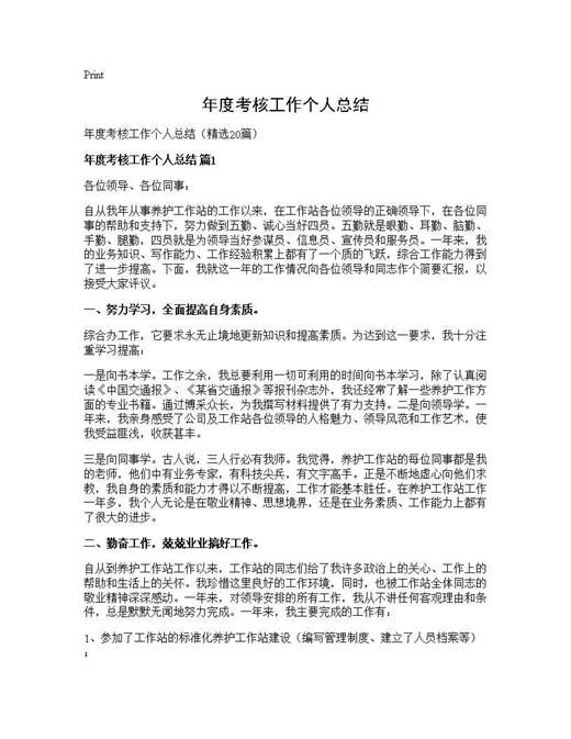 年度考核工作个人总结