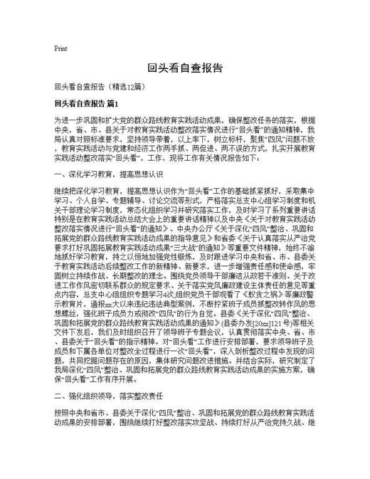 回头看自查报告