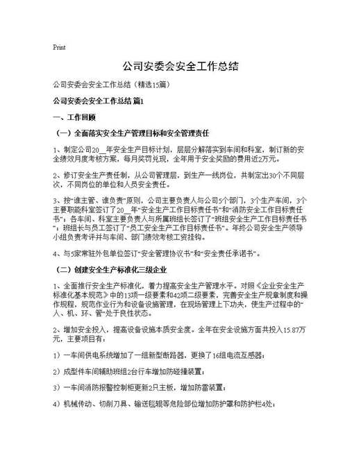 公司安委会安全工作总结