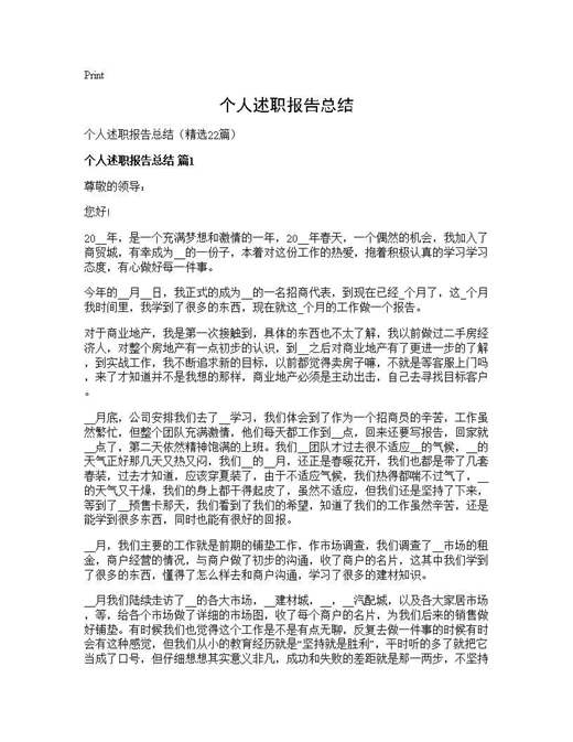 个人述职报告总结