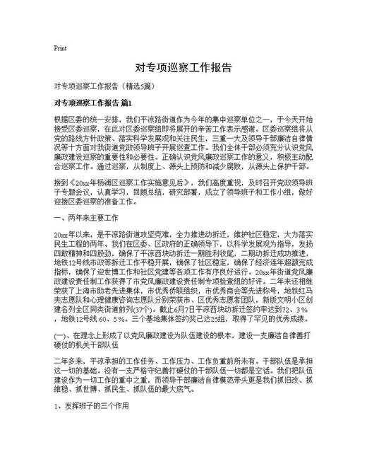 对专项巡察工作报告