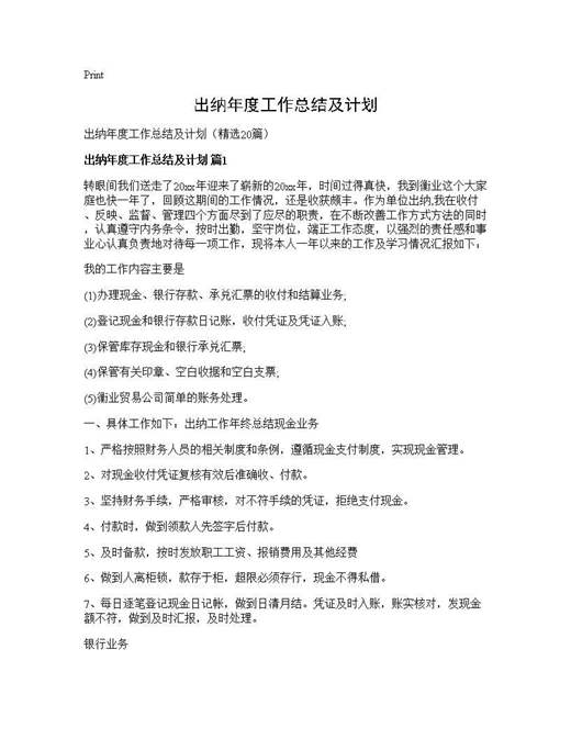 出纳年度工作总结及计划