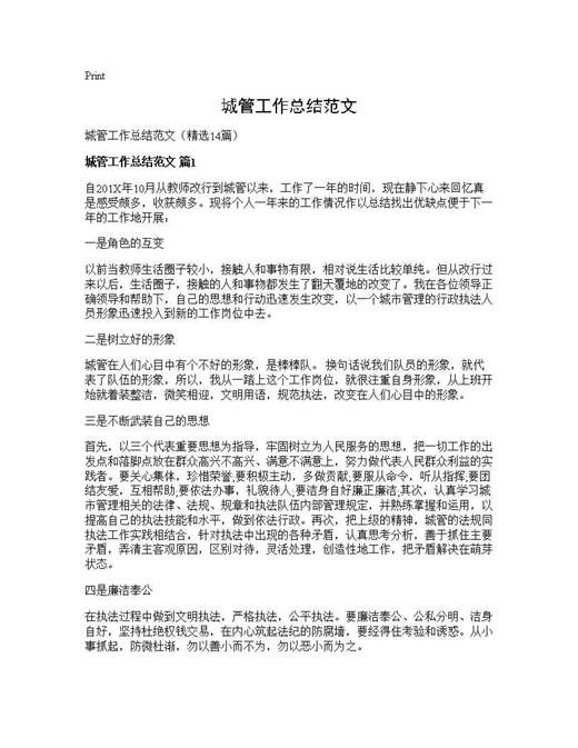 城管工作总结范文