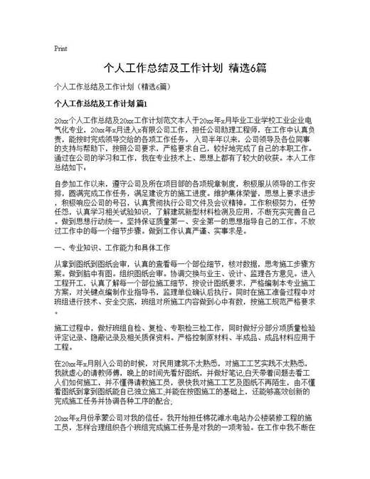 个人工作总结及工作计划(精选)