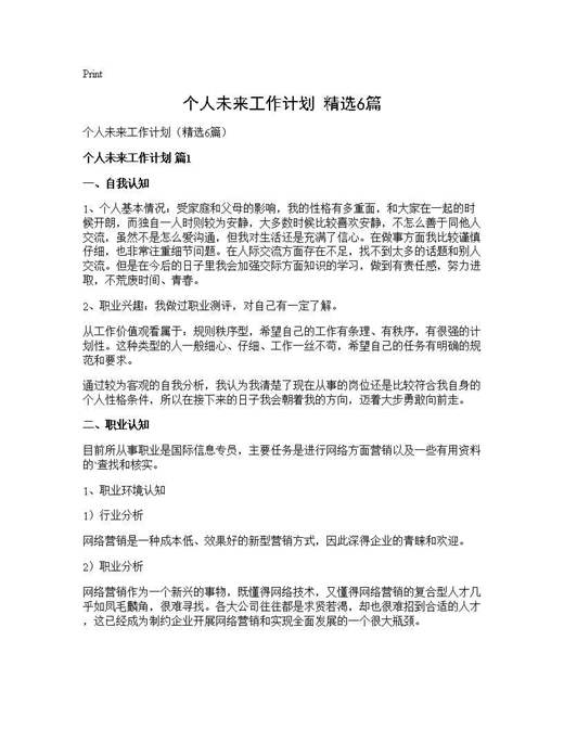 个人未来工作计划(精选)