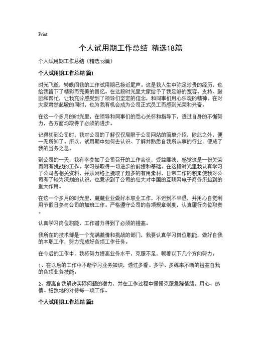 个人试用期工作总结(精选)