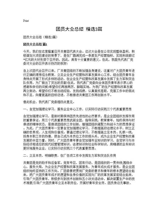 团员大会总结(精选)