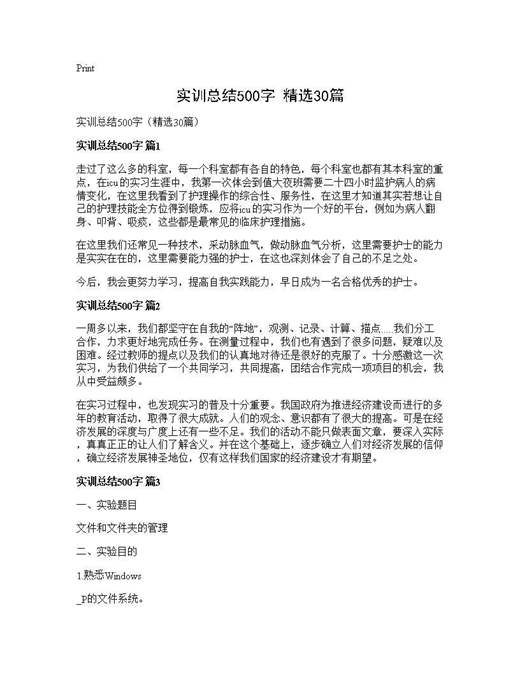 实训总结500字(精选)
