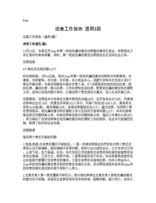 巡查工作报告(通用)