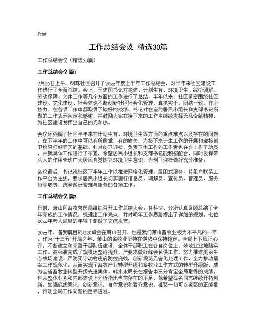 工作总结会议(精选)