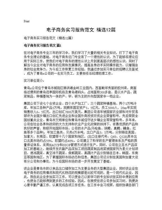 电子商务实习报告范文(精选)