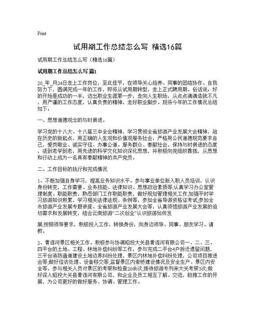 试用期工作总结怎么写(精选)