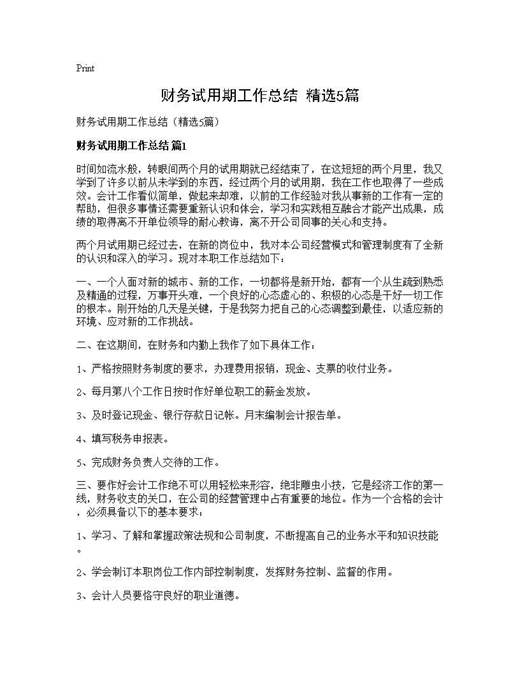 财务试用期工作总结(精选)