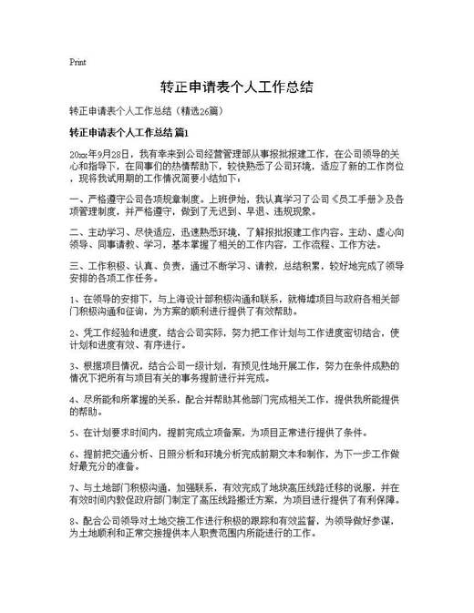 转正申请表个人工作总结