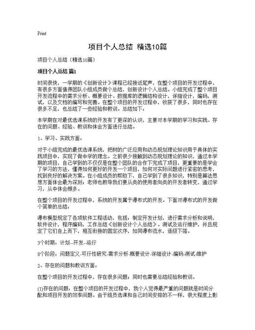 项目个人总结(精选)