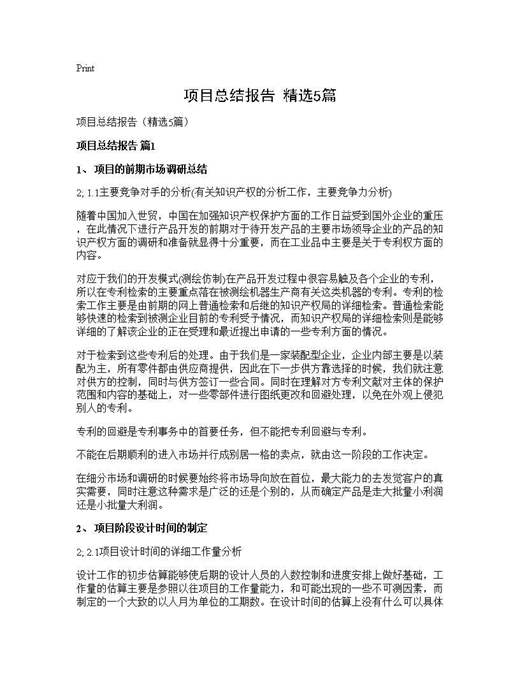 项目总结报告(精选)