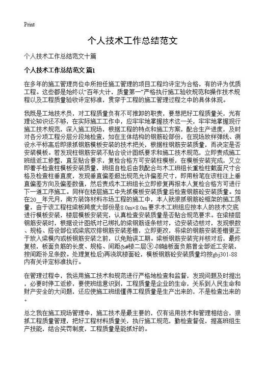 个人技术工作总结范文
