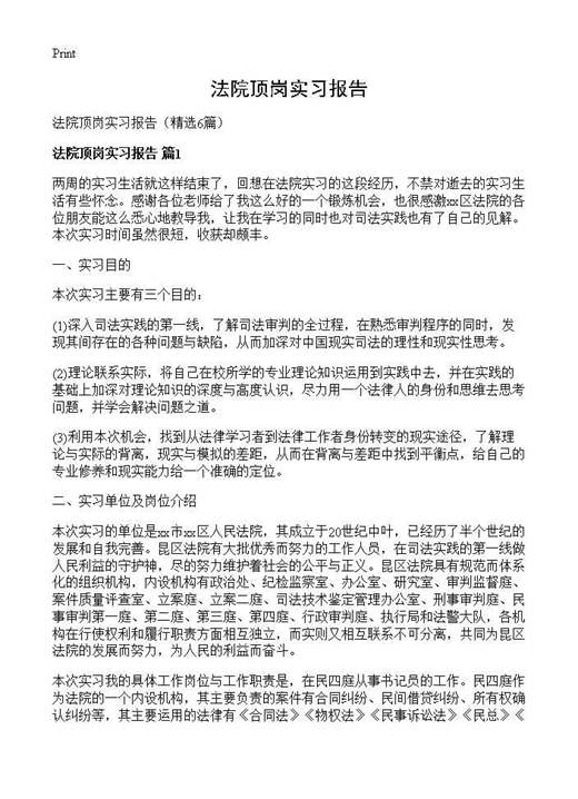 法院顶岗实习报告