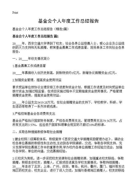 基金会个人年度工作总结报告