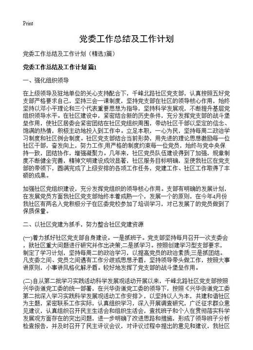 党委工作总结及工作计划
